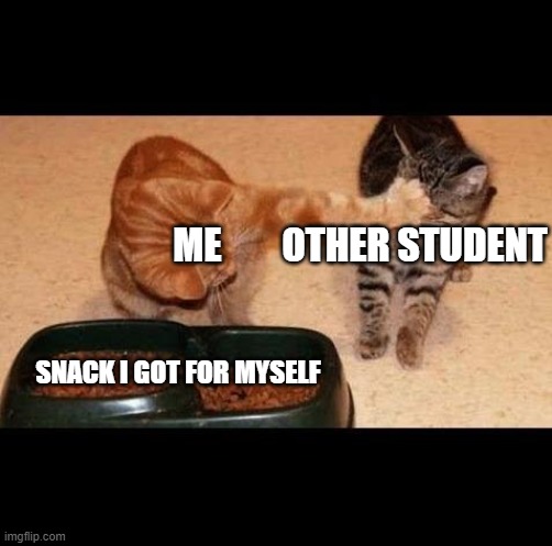 cats share food | ME        OTHER STUDENT; SNACK I GOT FOR MYSELF | image tagged in cats share food | made w/ Imgflip meme maker