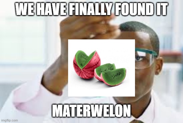 FINALLY | WE HAVE FINALLY FOUND IT; MATERWELON | image tagged in finally | made w/ Imgflip meme maker