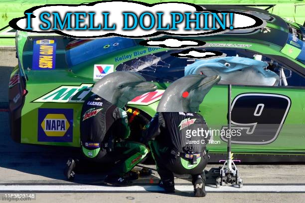Bruce's new NASCAR pit crew | I SMELL DOLPHIN! | image tagged in nascar,finding nemo sharks,dolphins,racing,but why why would you do that,mountain dew | made w/ Imgflip meme maker