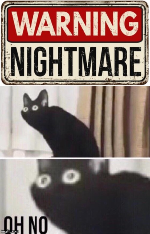 Warning: Nightmare sign | image tagged in oh no cat,warning sign,dark humor,memes,meme,nightmare | made w/ Imgflip meme maker
