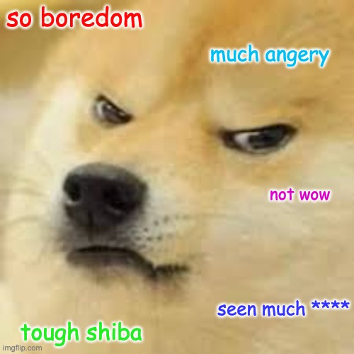 Tough Shiba | so boredom; much angery; not wow; seen much ****; tough shiba | image tagged in bored doge | made w/ Imgflip meme maker