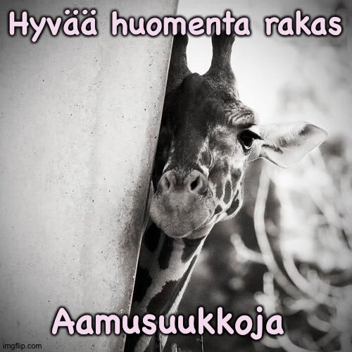 Hyvää huomenta rakas; Aamusuukkoja | made w/ Imgflip meme maker