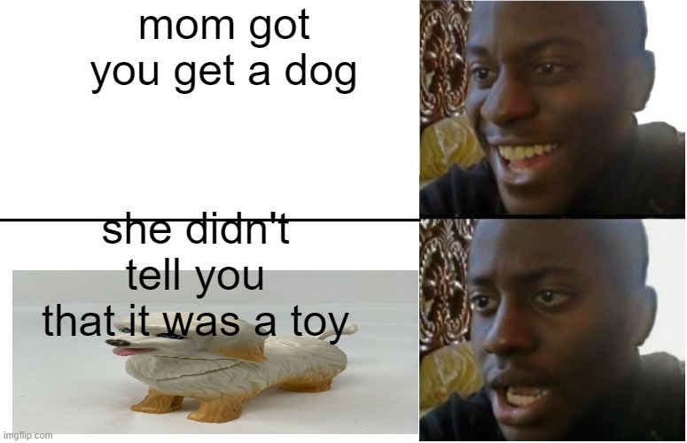 Disappointed Black Guy | mom got you get a dog; she didn't tell you that it was a toy | image tagged in disappointed black guy | made w/ Imgflip meme maker