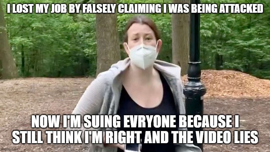 karen cooper | I LOST MY JOB BY FALSELY CLAIMING I WAS BEING ATTACKED; NOW I'M SUING EVRYONE BECAUSE I STILL THINK I'M RIGHT AND THE VIDEO LIES | image tagged in lies,racist,racist dog,nyc,mega karen | made w/ Imgflip meme maker