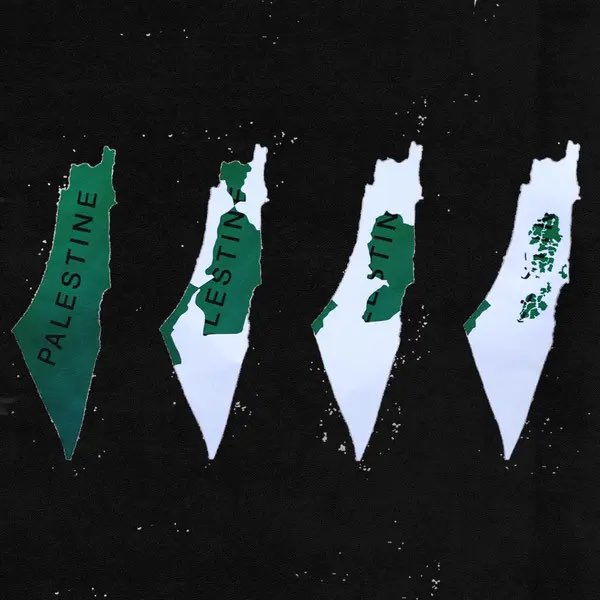 Palestine Blank Meme Template