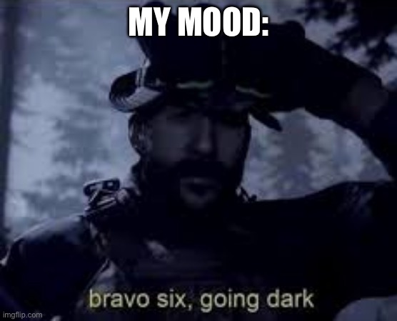 Bravo 6 going dark | MY MOOD: | image tagged in bravo 6 going dark | made w/ Imgflip meme maker