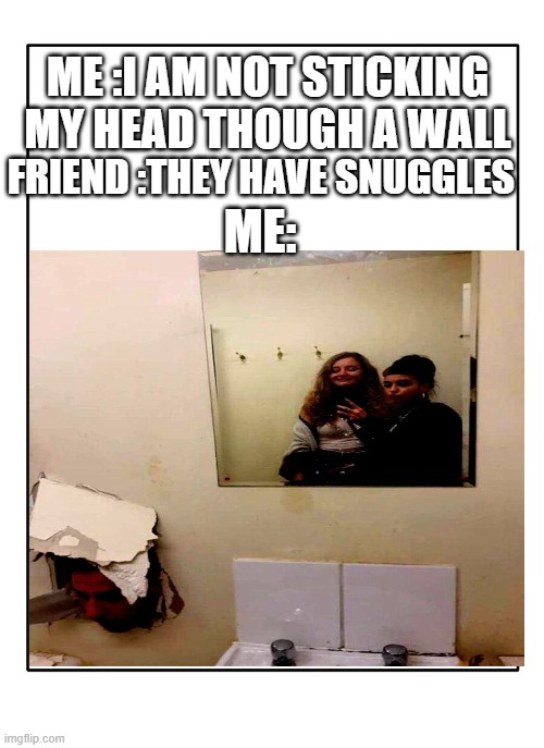 me | ME :I AM NOT STICKING MY HEAD THOUGH A WALL; FRIEND :THEY HAVE SNUGGLES; ME: | image tagged in snuggly,wall,head | made w/ Imgflip meme maker