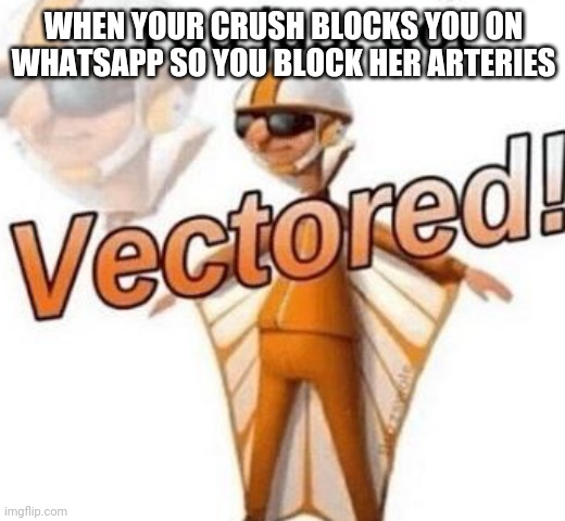 You just got vectored | WHEN YOUR CRUSH BLOCKS YOU ON WHATSAPP SO YOU BLOCK HER ARTERIES | image tagged in you just got vectored | made w/ Imgflip meme maker