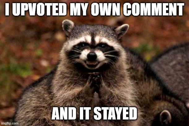 upvoted my own comment today | I UPVOTED MY OWN COMMENT; AND IT STAYED | image tagged in memes,evil plotting raccoon | made w/ Imgflip meme maker