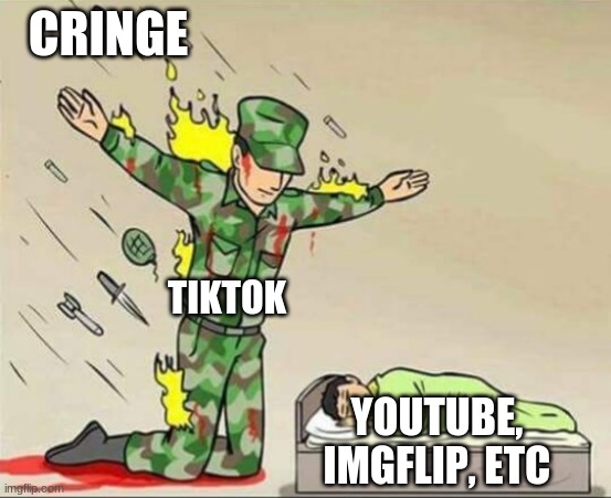 tiktok is a shield | CRINGE; TIKTOK; YOUTUBE, IMGFLIP, ETC | image tagged in soldier protecting sleeping child,true,memes,tiktok sucks | made w/ Imgflip meme maker