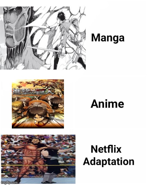 Manga, Anime, Netflix adaption | image tagged in manga anime netflix adaption | made w/ Imgflip meme maker