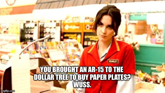 Grumpy Cashier | YOU BROUGHT AN AR-15 TO THE 
DOLLAR TREE TO BUY PAPER PLATES?
WUSS. | image tagged in grumpy cashier | made w/ Imgflip meme maker