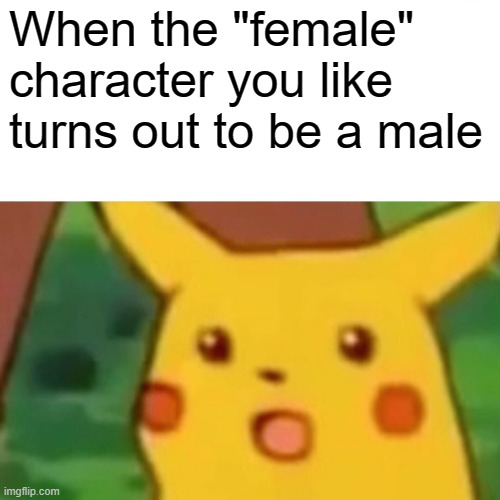 Don't judge a book by it's cover | When the "female" character you like turns out to be a male | image tagged in memes,surprised pikachu | made w/ Imgflip meme maker