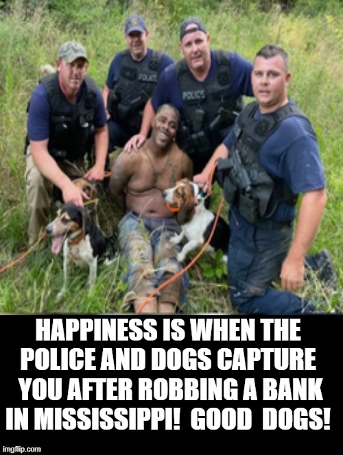 Happiness is when the police and dogs capture  you after robbing a bank in Mississippi!  Good  Dogs! | HAPPINESS IS WHEN THE POLICE AND DOGS CAPTURE  YOU AFTER ROBBING A BANK IN MISSISSIPPI!  GOOD  DOGS! | image tagged in dogs | made w/ Imgflip meme maker