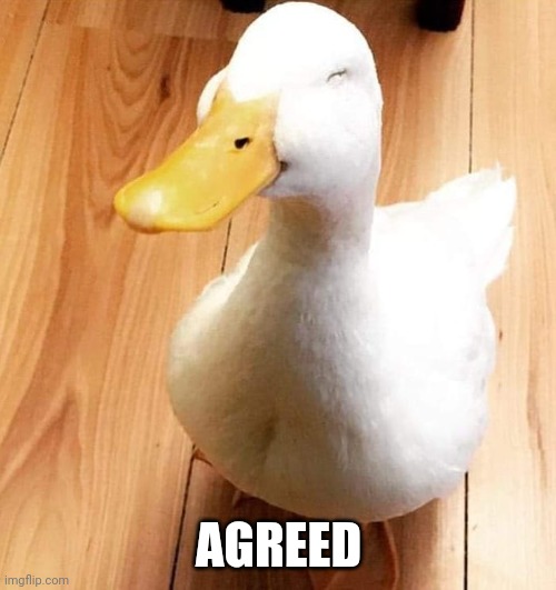 SMILE DUCK | AGREED | image tagged in smile duck | made w/ Imgflip meme maker