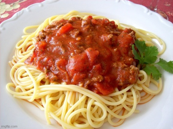 Spaghetti  | image tagged in spaghetti | made w/ Imgflip meme maker