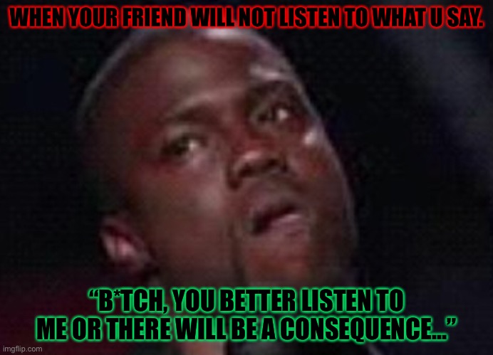 Go Kevin | WHEN YOUR FRIEND WILL NOT LISTEN TO WHAT U SAY. “B*TCH, YOU BETTER LISTEN TO ME OR THERE WILL BE A CONSEQUENCE…” | image tagged in funny | made w/ Imgflip meme maker