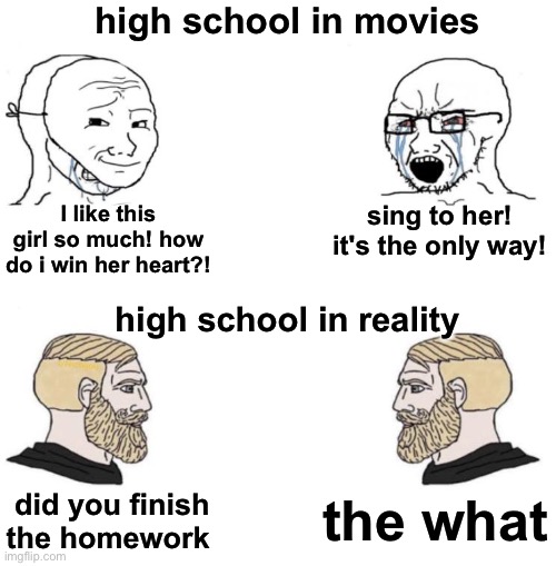we had homework? | high school in movies; I like this girl so much! how do i win her heart?! sing to her! it's the only way! high school in reality; the what; did you finish the homework | image tagged in chad we know,high school,school,memes | made w/ Imgflip meme maker