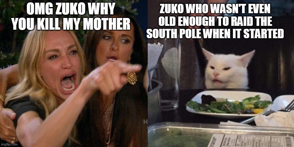 FIRE NATION | OMG ZUKO WHY YOU KILL MY MOTHER; ZUKO WHO WASN'T EVEN OLD ENOUGH TO RAID THE SOUTH POLE WHEN IT STARTED | image tagged in woman yelling at cat,memes,lol,haha,avatar the last airbender | made w/ Imgflip meme maker