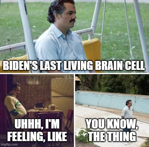 Loneliness | BIDEN'S LAST LIVING BRAIN CELL; UHHH, I'M FEELING, LIKE; YOU KNOW, THE THING | image tagged in memes,sad pablo escobar,biden,joe biden | made w/ Imgflip meme maker