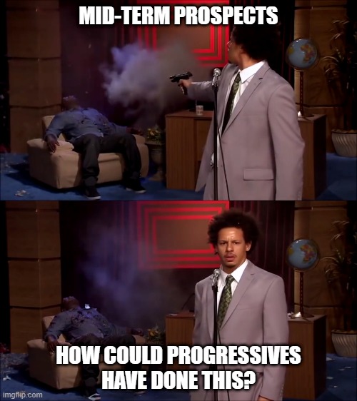 How could they have done this | MID-TERM PROSPECTS; HOW COULD PROGRESSIVES HAVE DONE THIS? | image tagged in how could they have done this | made w/ Imgflip meme maker