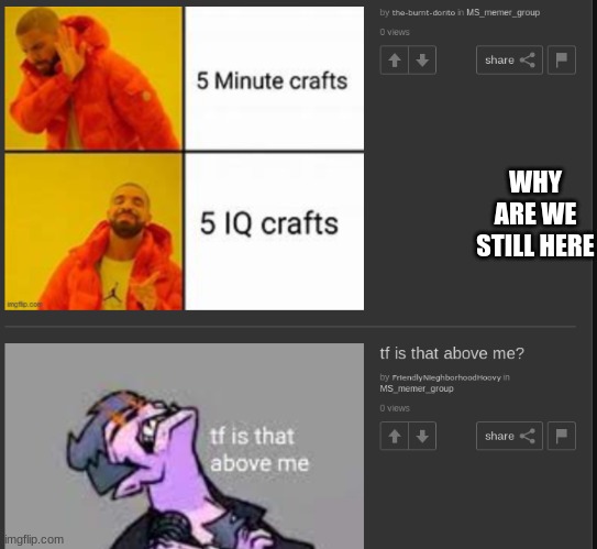 What the heck lol | WHY ARE WE STILL HERE | image tagged in wtf | made w/ Imgflip meme maker