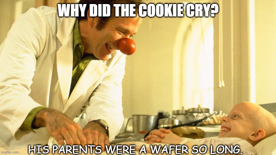 Daily Bad Dad Joke |  WHY DID THE COOKIE CRY? HIS PARENTS WERE A WAFER SO LONG. | image tagged in patch | made w/ Imgflip meme maker
