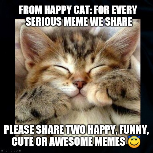 Funny Happy Cute Memes |  FROM HAPPY CAT: FOR EVERY
 SERIOUS MEME WE SHARE; PLEASE SHARE TWO HAPPY, FUNNY,
CUTE OR AWESOME MEMES 😇 | image tagged in cats,happy,funny,cute,have a nice day,fun | made w/ Imgflip meme maker
