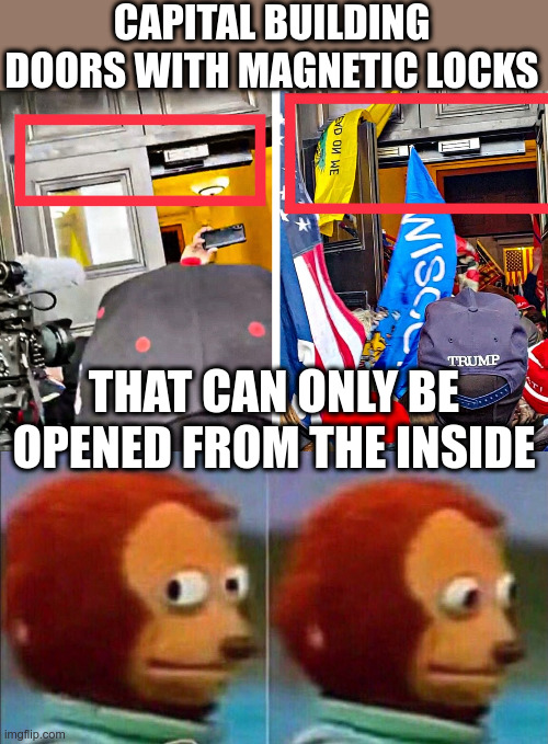 Updated meme | CAPITAL BUILDING DOORS WITH MAGNETIC LOCKS; THAT CAN ONLY BE OPENED FROM THE INSIDE | image tagged in monkey looking away,political meme,updated,capitol hill | made w/ Imgflip meme maker