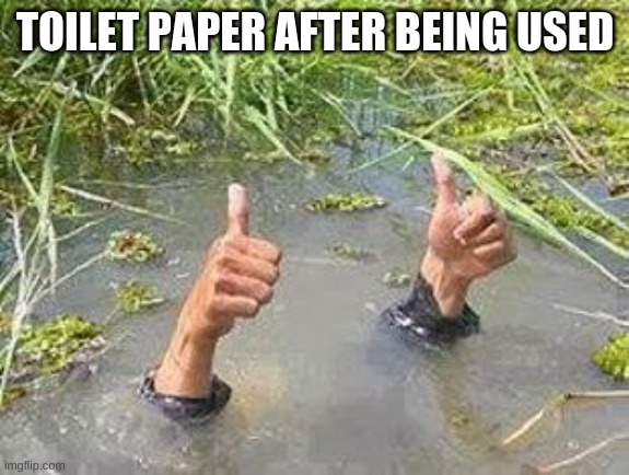 FLOODING THUMBS UP | TOILET PAPER AFTER BEING USED | image tagged in flooding thumbs up | made w/ Imgflip meme maker