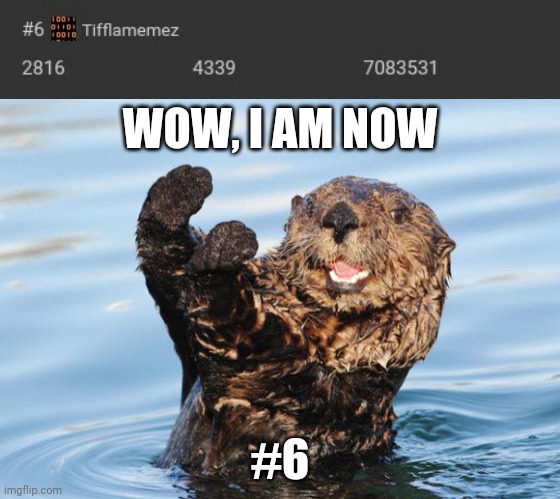 #6 |  WOW, I AM NOW; #6 | image tagged in otter celebration,imgflip points,imgflip,imgflip user,memes,points | made w/ Imgflip meme maker