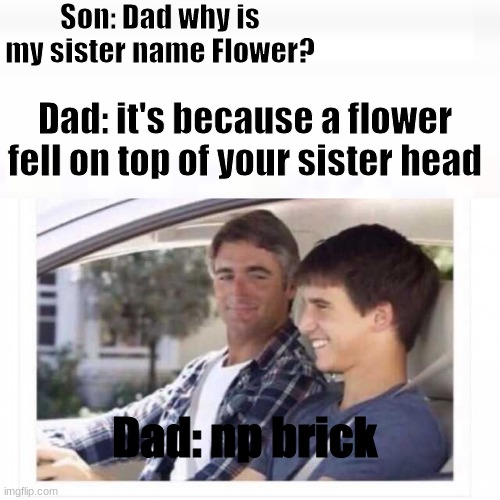 i was inspired | Son: Dad why is my sister name Flower? Dad: it's because a flower fell on top of your sister head; Dad: np brick | image tagged in brick,reeeeeeeeeeeeeeeeeeeeee | made w/ Imgflip meme maker