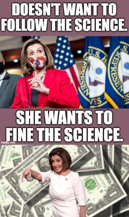 Nancy Pelosi | image tagged in memes,po,politics,nancy pelosi,fine,science | made w/ Imgflip meme maker