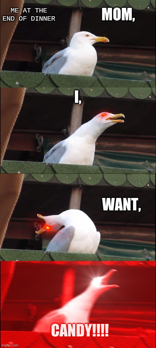 Inhaling Seagull | MOM, ME AT THE END OF DINNER; I, WANT, CANDY!!!! | image tagged in memes,inhaling seagull | made w/ Imgflip meme maker