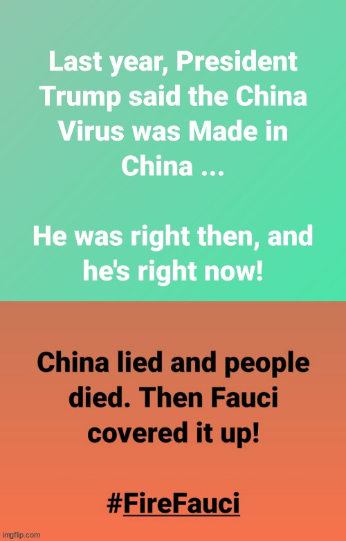 Democrats hate this | image tagged in stupid liberals,fauci | made w/ Imgflip meme maker