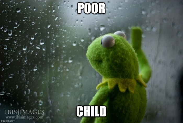 kermit window | POOR CHILD | image tagged in kermit window | made w/ Imgflip meme maker