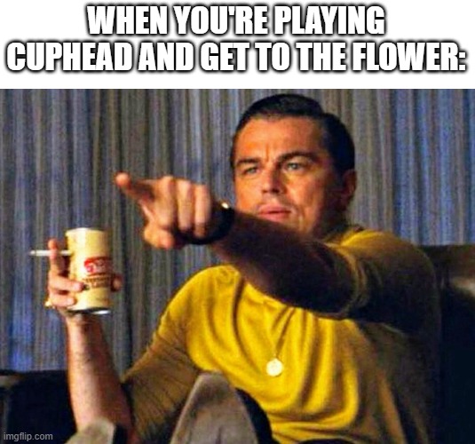 Leonardo Dicaprio pointing at tv | WHEN YOU'RE PLAYING CUPHEAD AND GET TO THE FLOWER: | image tagged in leonardo dicaprio pointing at tv | made w/ Imgflip meme maker
