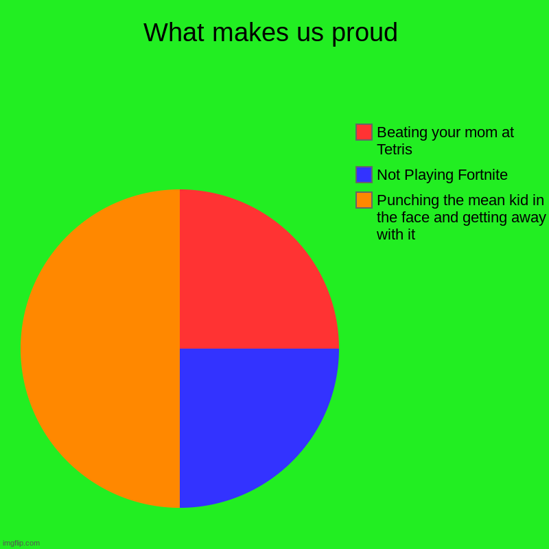 What makes us proud | Punching the mean kid in the face and getting away with it, Not Playing Fortnite, Beating your mom at Tetris | image tagged in charts,pie charts | made w/ Imgflip chart maker