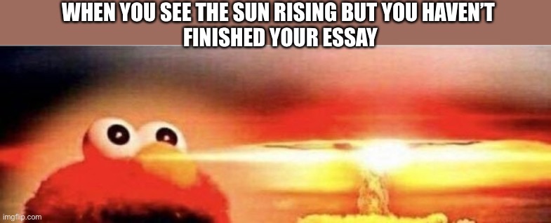 Is anyone else glad summer break is here? | WHEN YOU SEE THE SUN RISING BUT YOU HAVEN’T 
FINISHED YOUR ESSAY | image tagged in elmo,nuke,school,homework | made w/ Imgflip meme maker