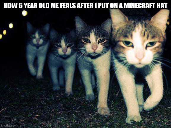Wrong Neighboorhood Cats | HOW 6 YEAR OLD ME FEALS AFTER I PUT ON A MINECRAFT HAT | image tagged in memes,wrong neighboorhood cats | made w/ Imgflip meme maker