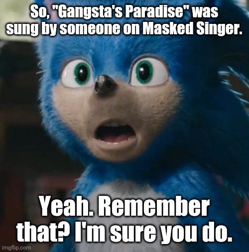 Bet everyone still thinks that Sonic is cursed and/or ugly | So, "Gangsta's Paradise" was sung by someone on Masked Singer. Yeah. Remember that? I'm sure you do. | image tagged in sonic movie,gangstas paradise,masked singer | made w/ Imgflip meme maker