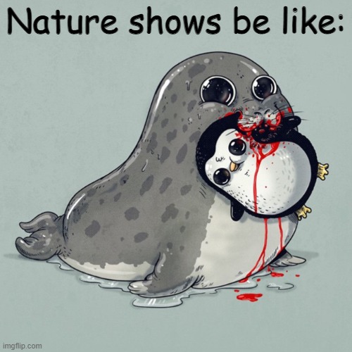 I dont understand why they show that | Nature shows be like: | image tagged in let's go watch the nature channel enuf of violent media,planet earth,earth | made w/ Imgflip meme maker