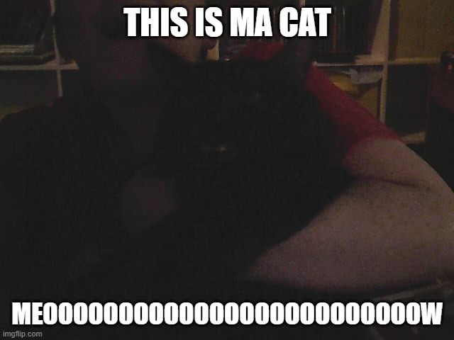 ma cat and me | THIS IS MA CAT; MEOOOOOOOOOOOOOOOOOOOOOOOOOW | image tagged in cats,kitty cat | made w/ Imgflip meme maker