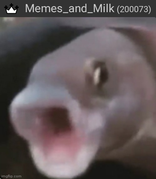 Yes I use dark mode cause I don't like being blind | image tagged in poggers fish,funny,memes,oh wow are you actually reading these tags | made w/ Imgflip meme maker