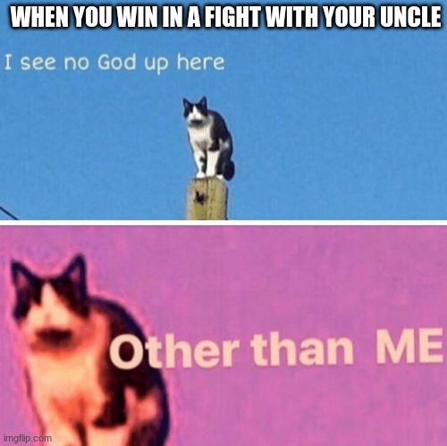 Hail pole cat | WHEN YOU WIN IN A FIGHT WITH YOUR UNCLE | image tagged in hail pole cat | made w/ Imgflip meme maker