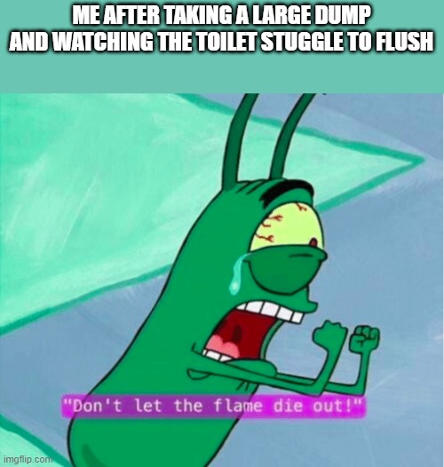relateable? | ME AFTER TAKING A LARGE DUMP AND WATCHING THE TOILET STUGGLE TO FLUSH | image tagged in dont let the flame die out | made w/ Imgflip meme maker