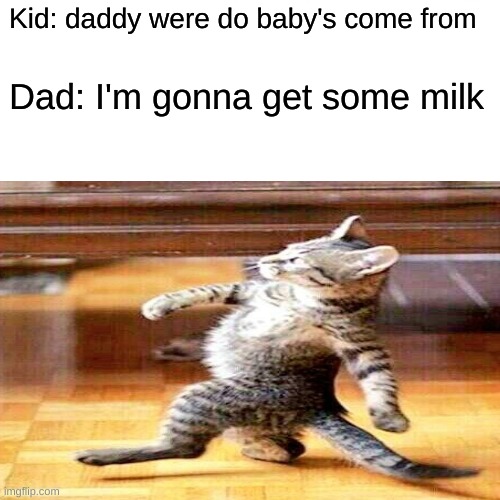 cat | Kid: daddy were do baby's come from; Dad: I'm gonna get some milk | image tagged in kids,funny memes | made w/ Imgflip meme maker