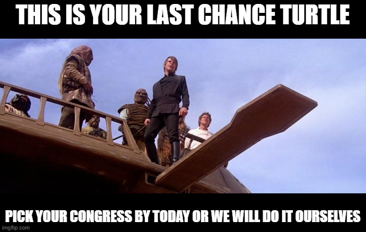 We need to have a full congress already | THIS IS YOUR LAST CHANCE TURTLE; PICK YOUR CONGRESS BY TODAY OR WE WILL DO IT OURSELVES | image tagged in this is your last chance,congress | made w/ Imgflip meme maker