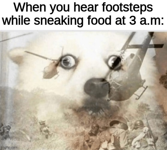 sneaking food at 3 am- | When you hear footsteps while sneaking food at 3 a.m: | image tagged in ptsd dog,scared,funny memes,so true memes | made w/ Imgflip meme maker