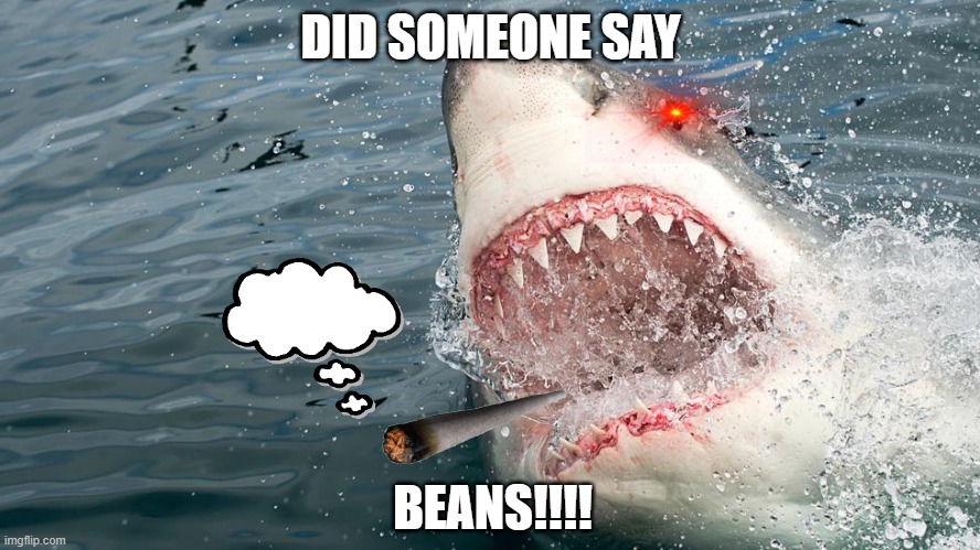 Found the file for the first meme i ever made. I am dying from the cringe. | DID SOMEONE SAY; BEANS!!!! | image tagged in beans | made w/ Imgflip meme maker